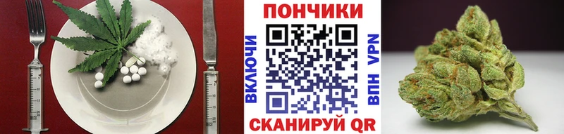 Canna-Cookies конопля  Купить закладки  Волхов 