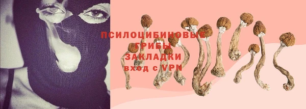 a pvp Иннополис