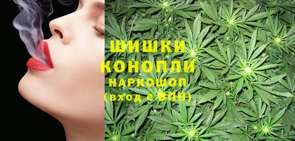 гидропоника Инсар