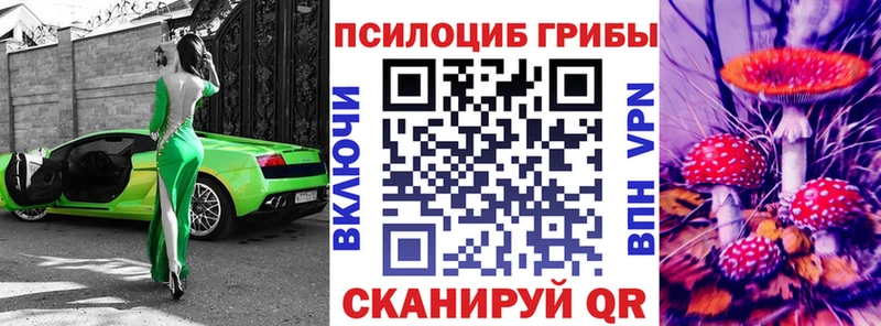 Купить  Волхов  Псилоцибиновые грибы прущие грибы 